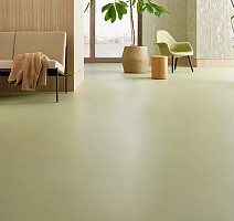 Forbo Marmoleum Solid Cocoa 3593 matcha фото 2 | FLOORDEALER